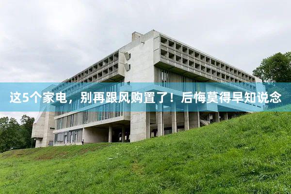 这5个家电，别再跟风购置了！后悔莫得早知说念