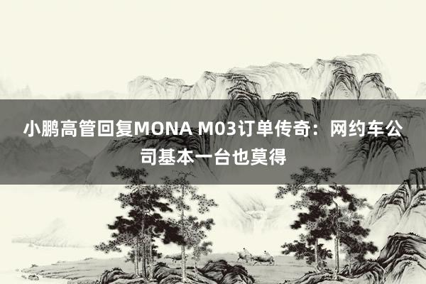 小鹏高管回复MONA M03订单传奇：网约车公司基本一台也莫得