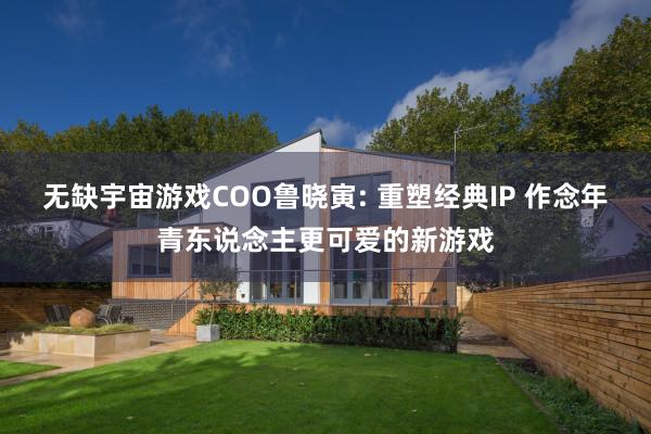 无缺宇宙游戏COO鲁晓寅: 重塑经典IP 作念年青东说念主更可爱的新游戏